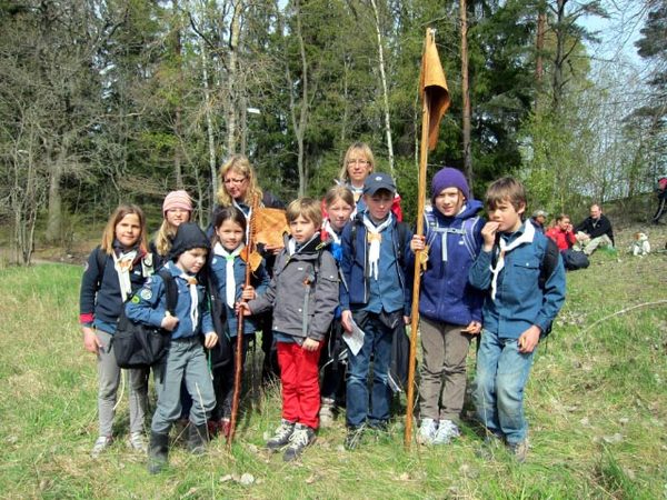 {stormfaglarroslagensdag6maj2012}